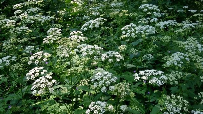 Фото: REGIONS/Сгенерировано нейросетью