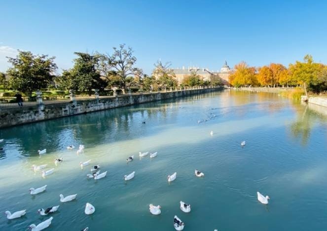 Цветущий оазис: сады Аранхуэс под Мадридом