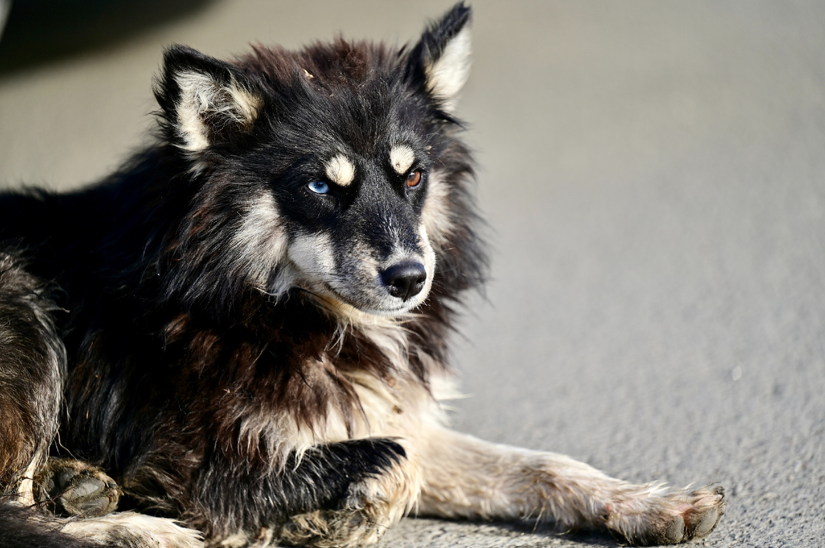 Фото: Полина Зиновьева, «Областная газета»