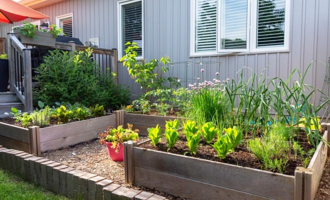 Обустраиваем «Умные грядки» - создаём огород без перекопки