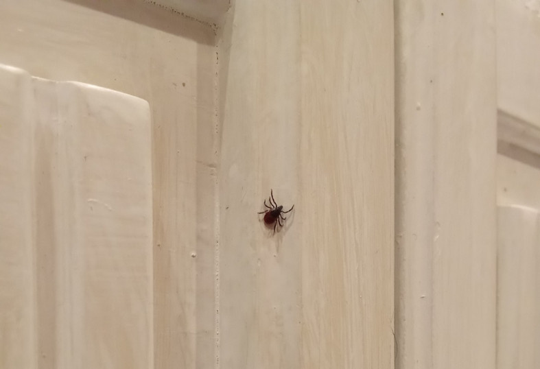                                                                                                                                                                                 фото: Светлана Бойкова