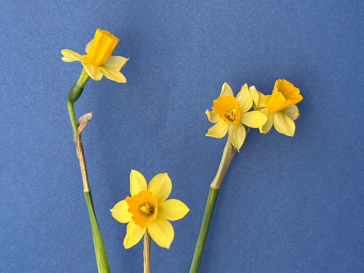 Фото автора канала