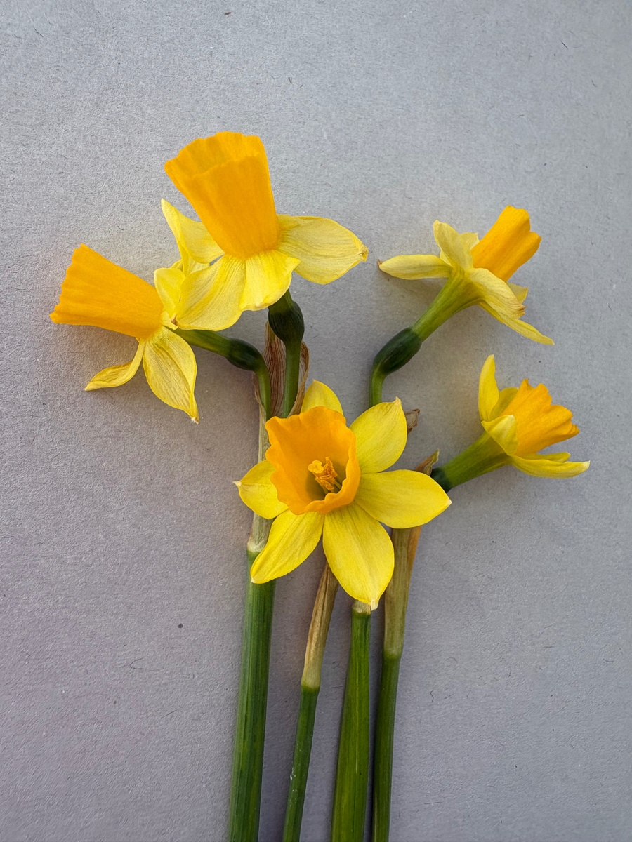 Фото автора канала