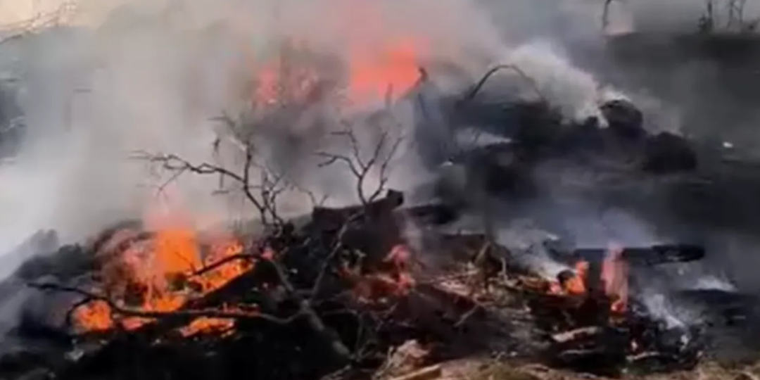 По "уму" надо извиниться и отказать, но вот сердце с головой в большом разладе