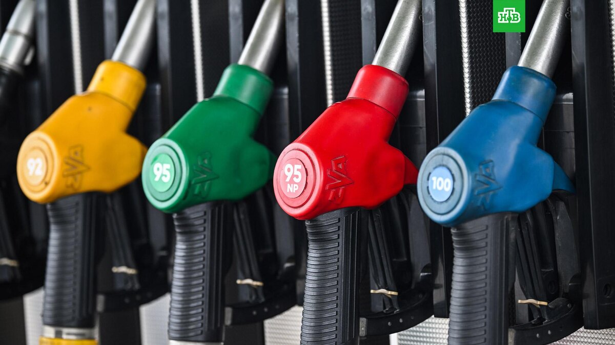    Фото: РИА Новости © 2026, Константин Михальчевский