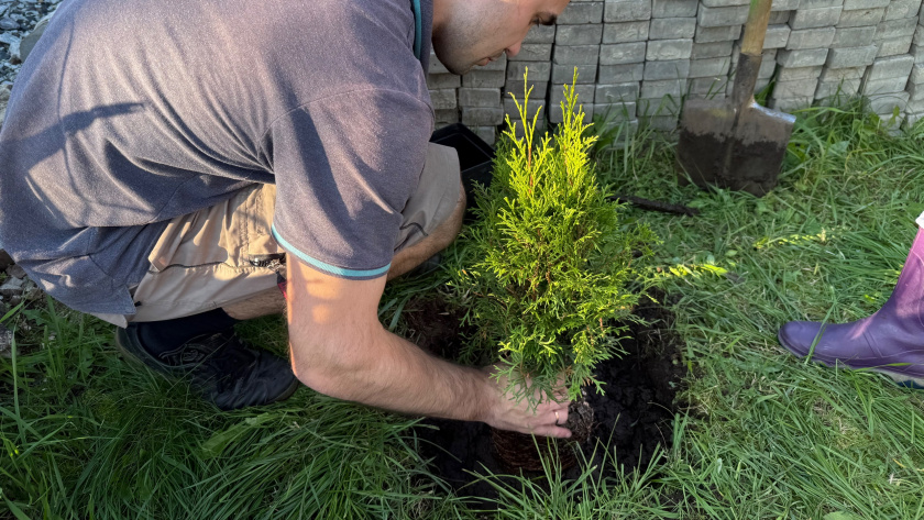    Фото progorod43.ru