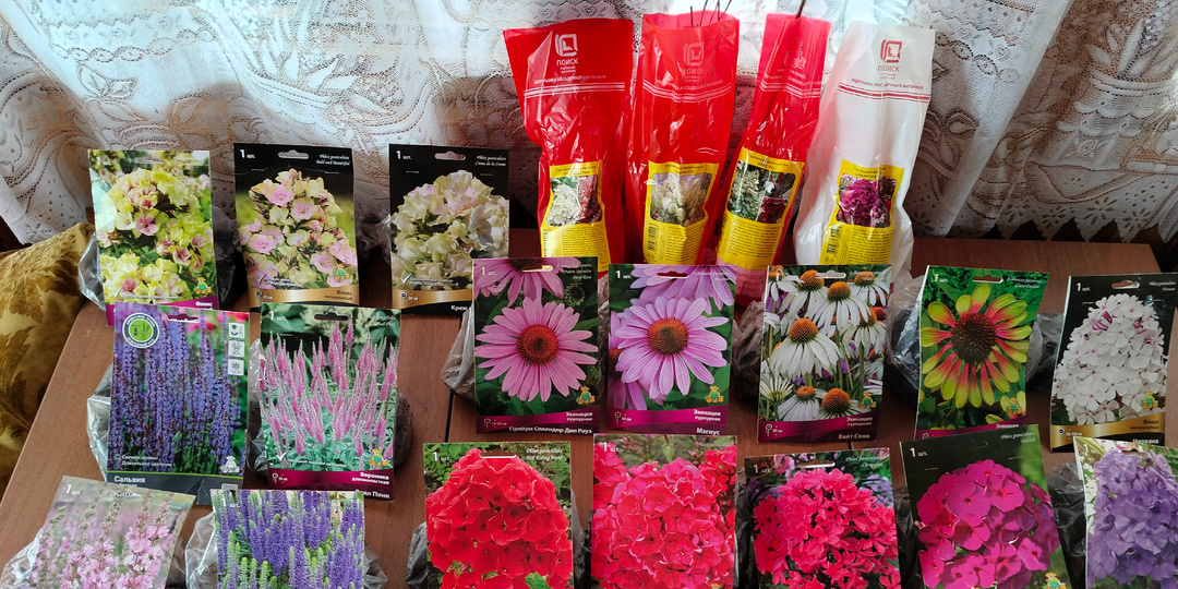 Флоксы, эхинацеи, гортензии - пришёл заказ от Поиска 2026