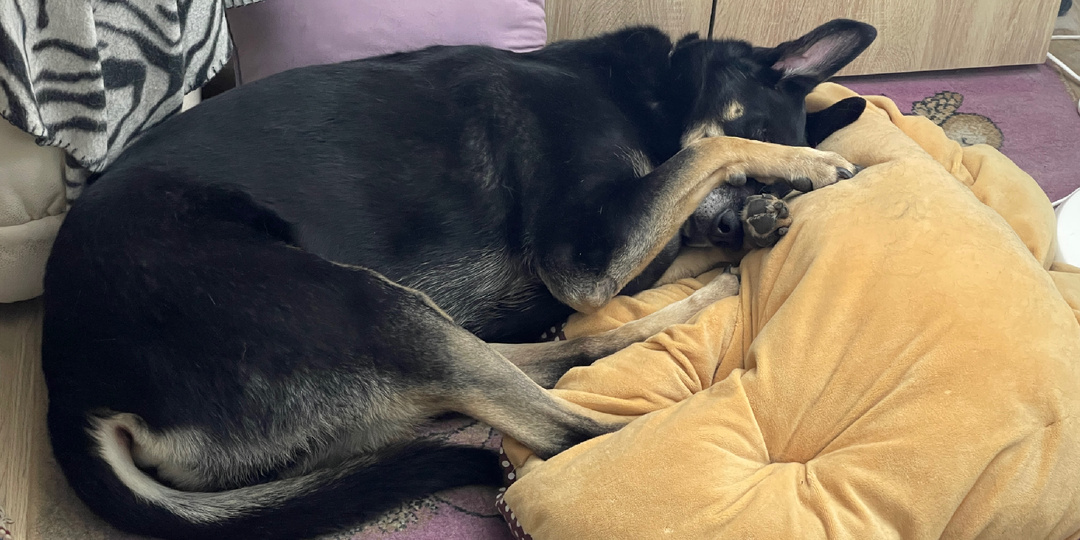 Что подарить маме на день рождения