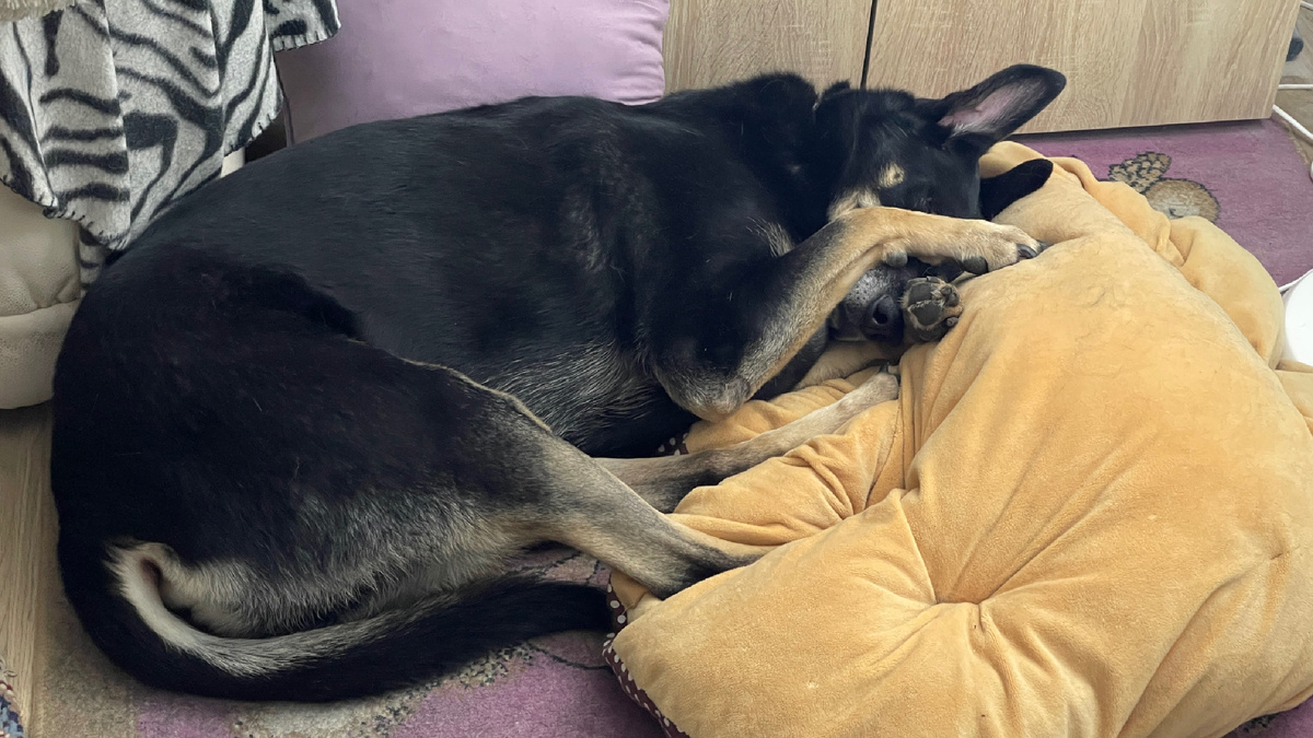 Спрячьте меня от этого множества всего, что я нашел!..