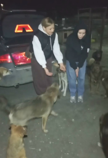 Слёзы на глазах: Девушки из Донецка показали, что такое настоящее добро! Приют в шоке!