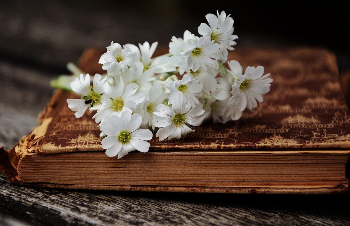 Старая книга.