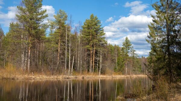    © Sputnik / Игорь Подгорный