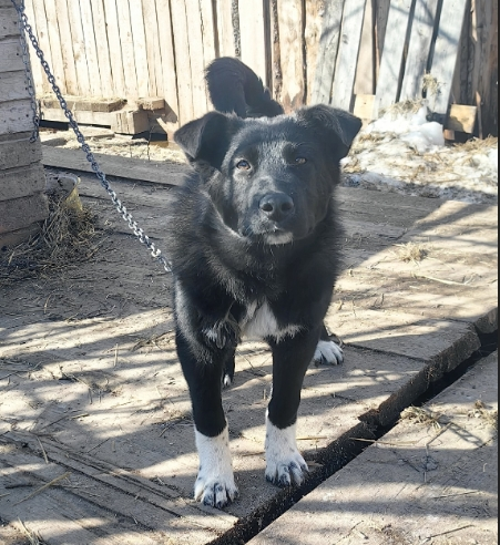 Грим