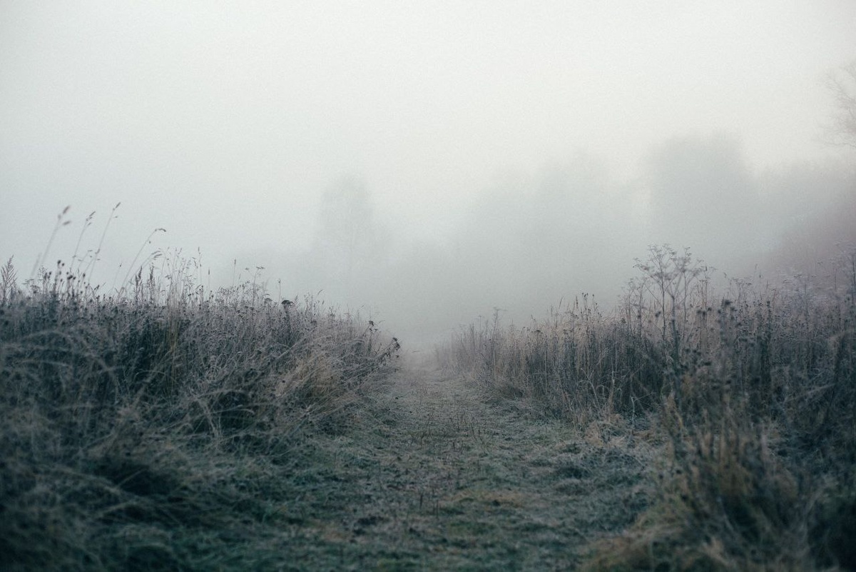 Из открытых источников