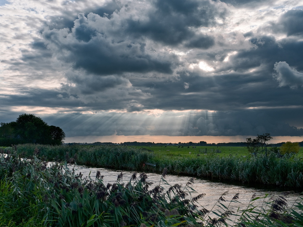 Из открытых источников