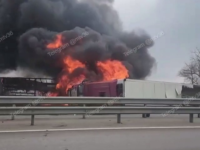     Фото: скрин видео