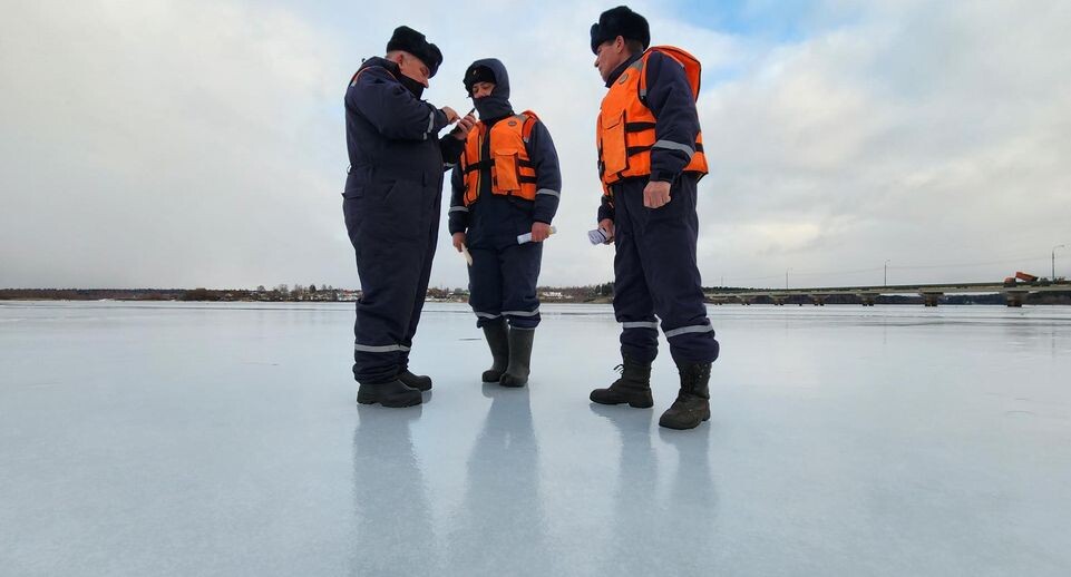    МедиаБанк Подмосковья/Екатерина Данилина