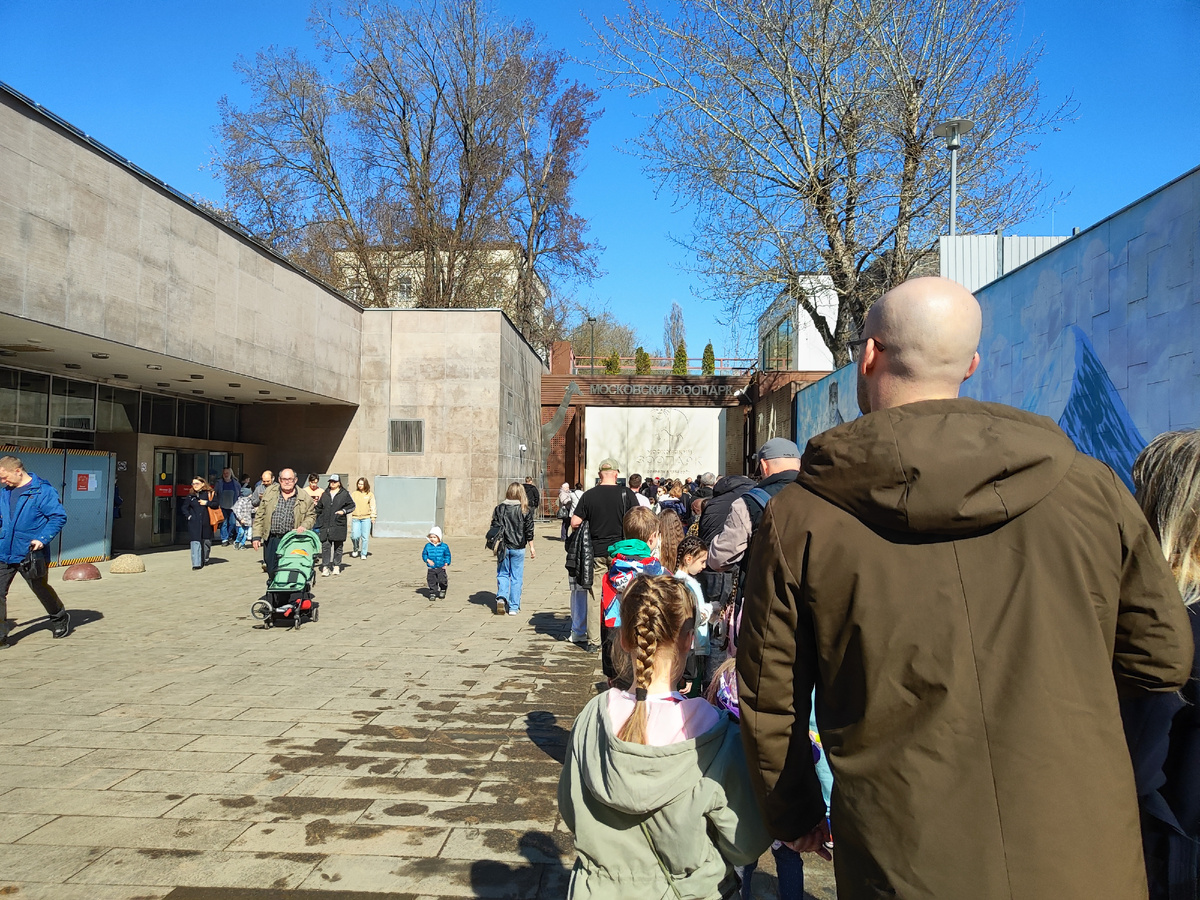 очередь в зоопарк