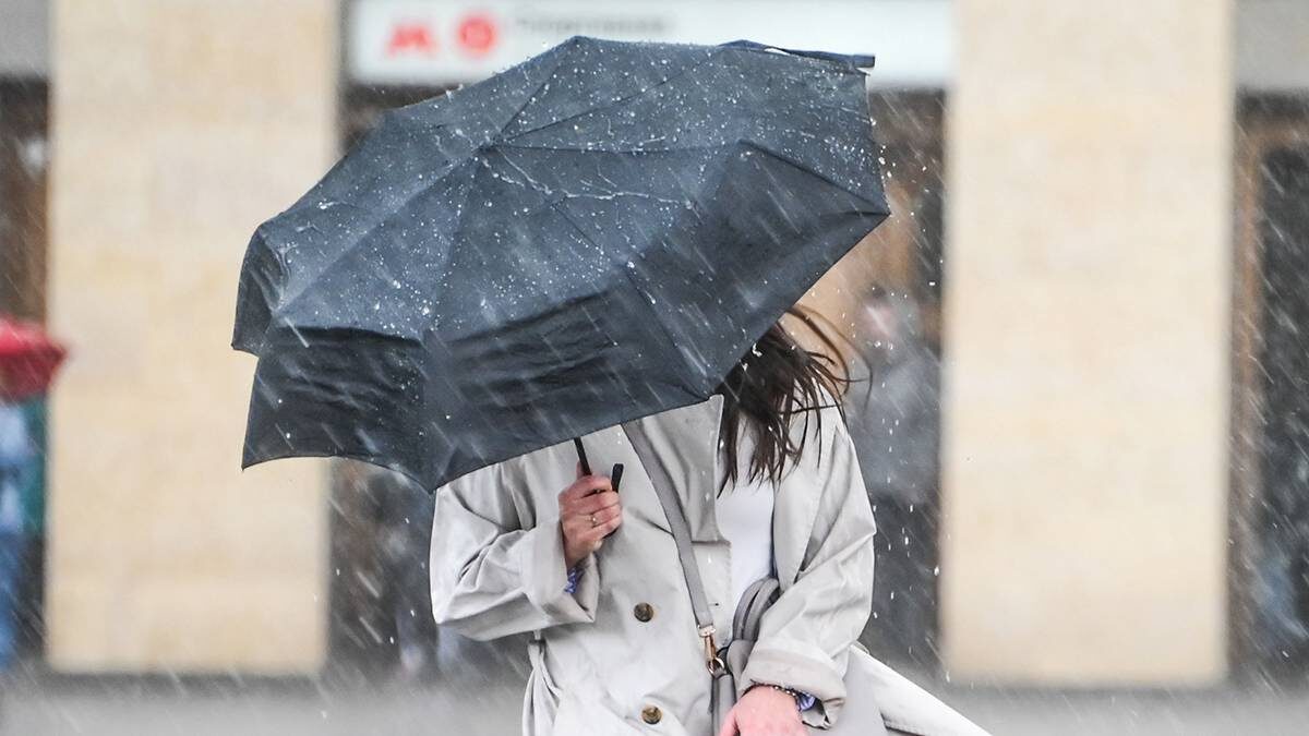    Фото: Пелагия Замятина / Вечерняя Москва