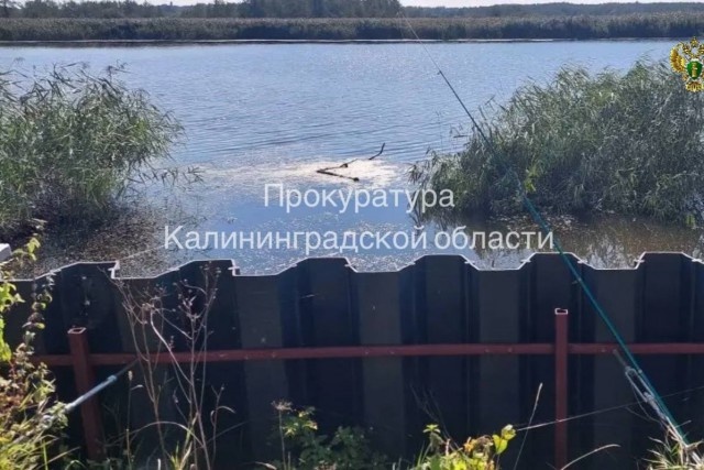   Фото: областная прокуратура