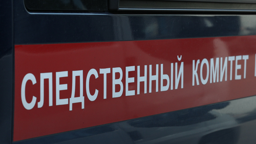    Фото: ИЗВЕСТИЯ/Михаил Терещенко; 5-tv.ru