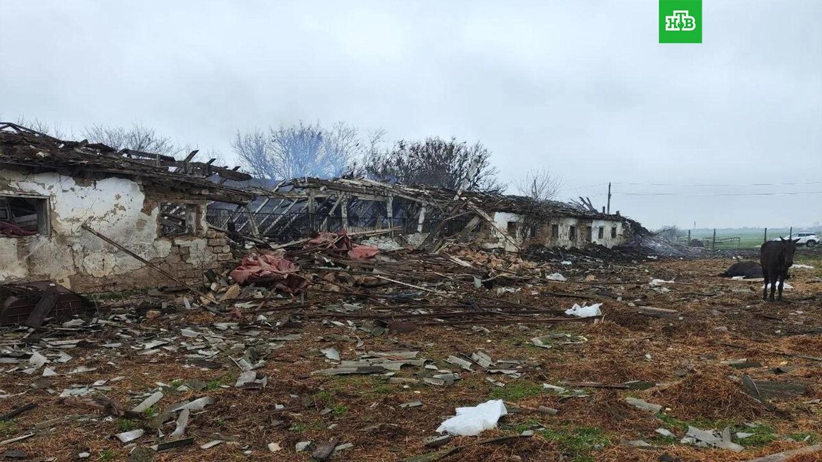    Фото: BalitskyEV / t.me