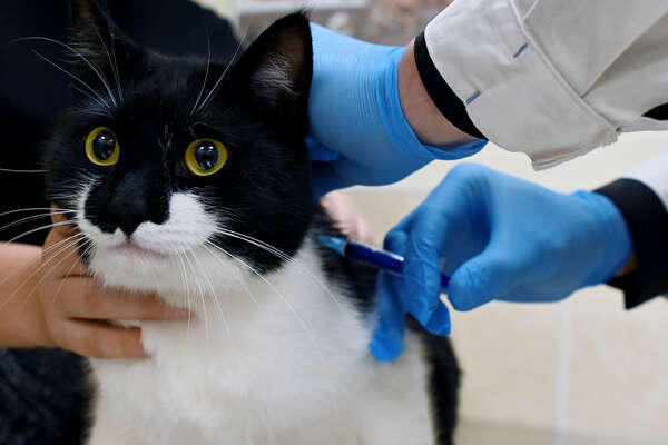 Павел Бедняков/РИА «Новости»   📷