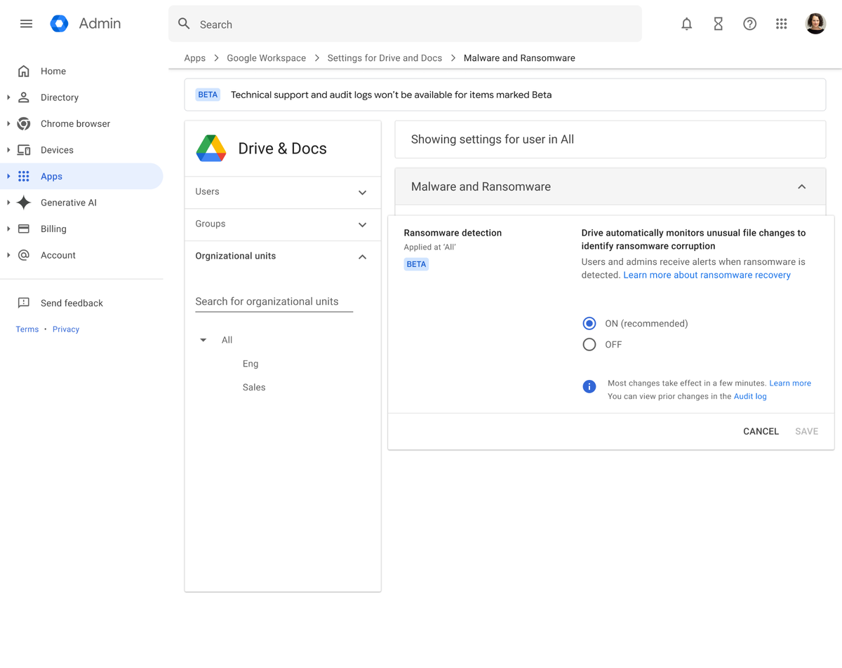 Фото Google  📷
