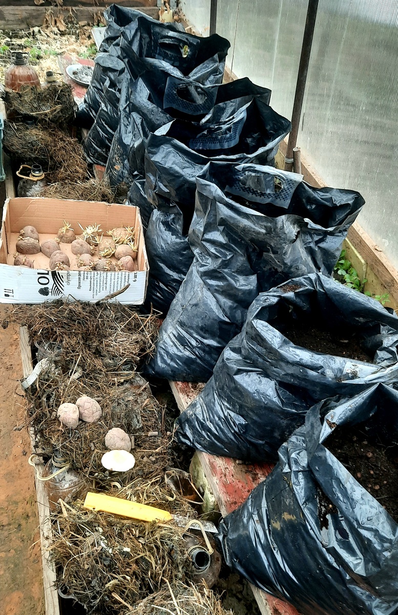 Фото автора.