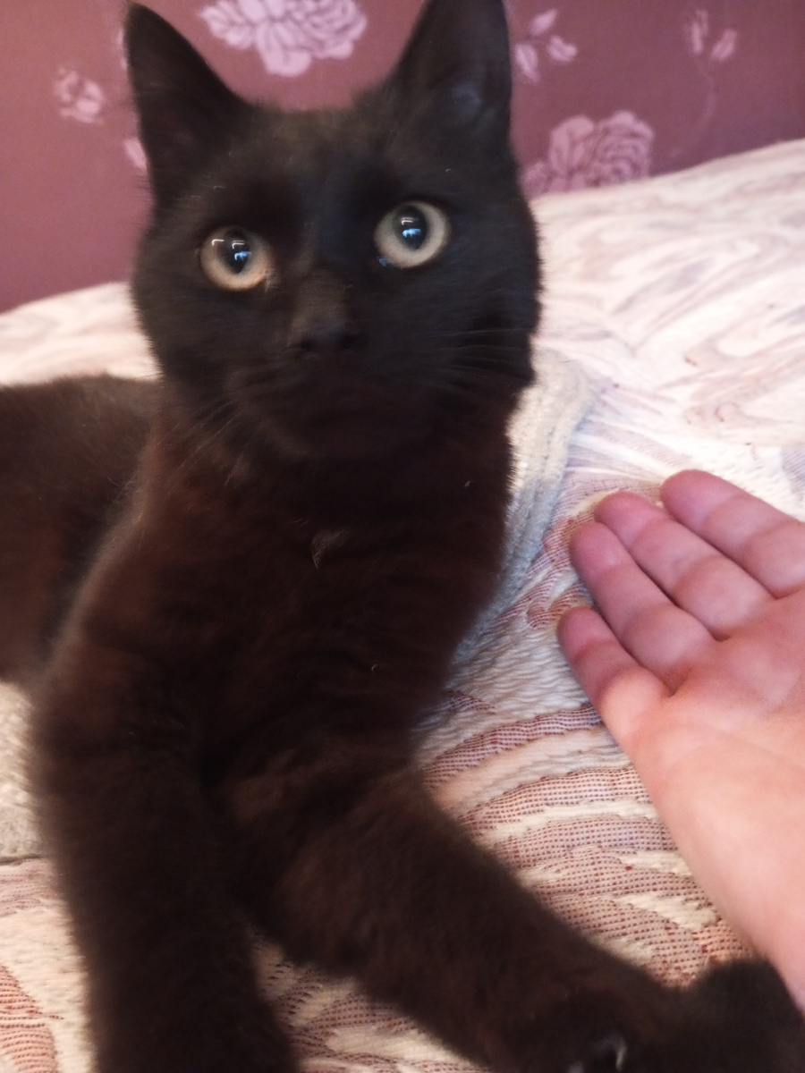 Здесь Ася ещё до события.