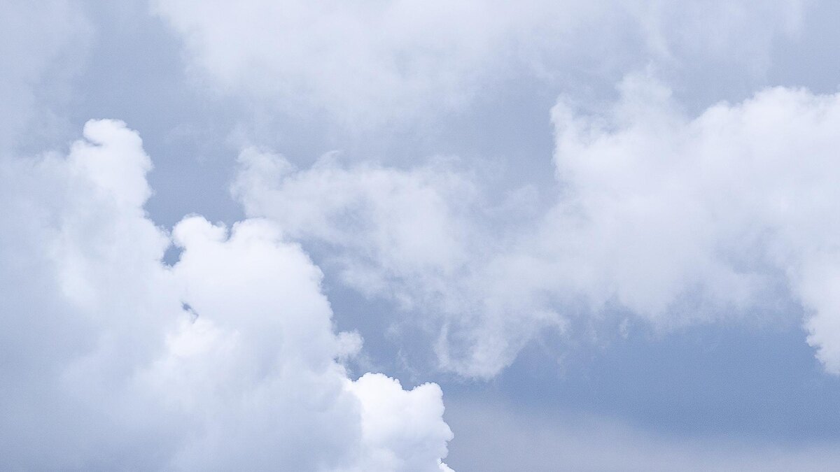    Фото: freepik.com/wirestock