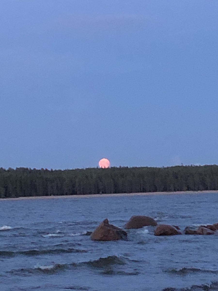 Розовая луна в Кандикюле.