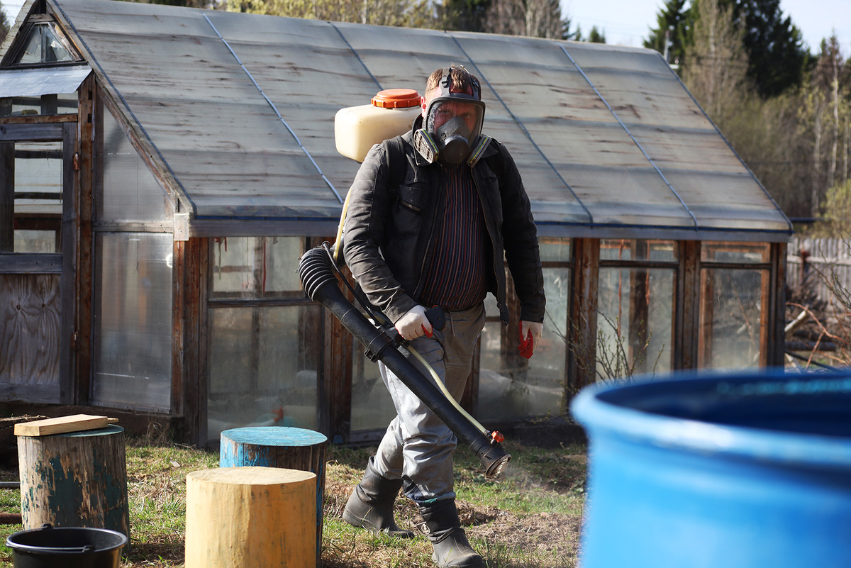 Клещи атакуют свердловчан на приусадебных участках.  Фото: ФедералПресс / Елена Майорова