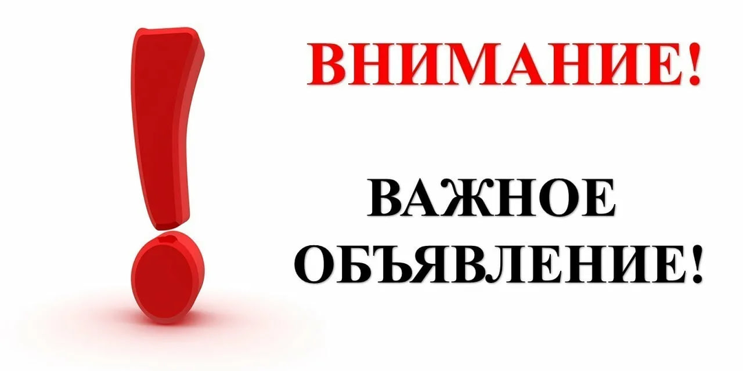 Шарпея украли с территории Горловского приюта: самовольно забрали. Алевтина предпринимает меры