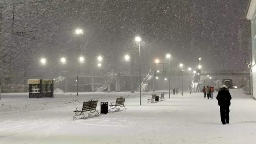    Фото progorod43.ru