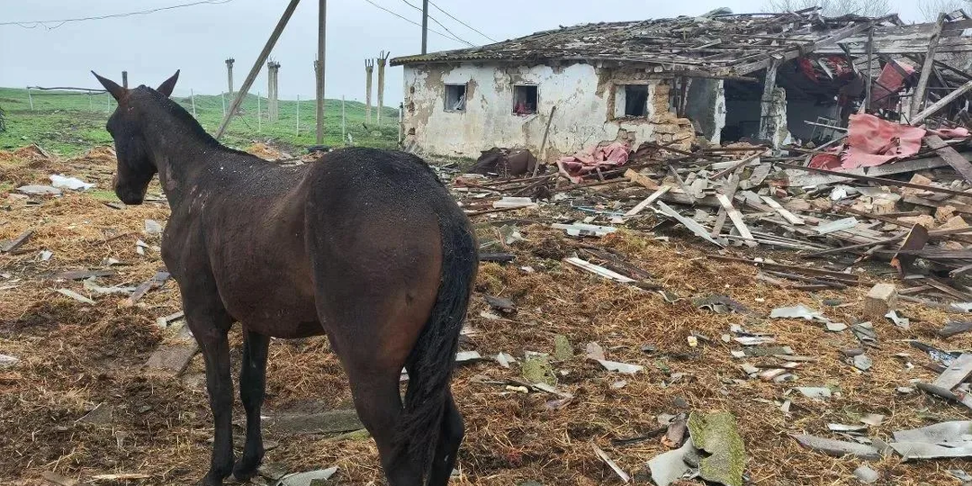 10 дронов ВСУ атаковали конную ферму в Акимовском муниципальном округе Запорожской области