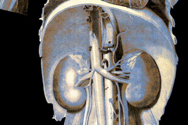 Global Look Press   📷