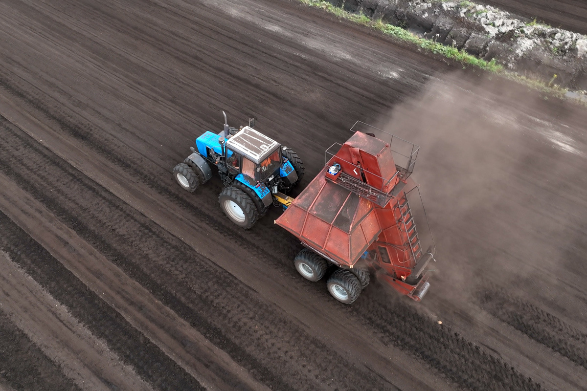    Фото: Maksim Safaniuk / Shutterstock.com