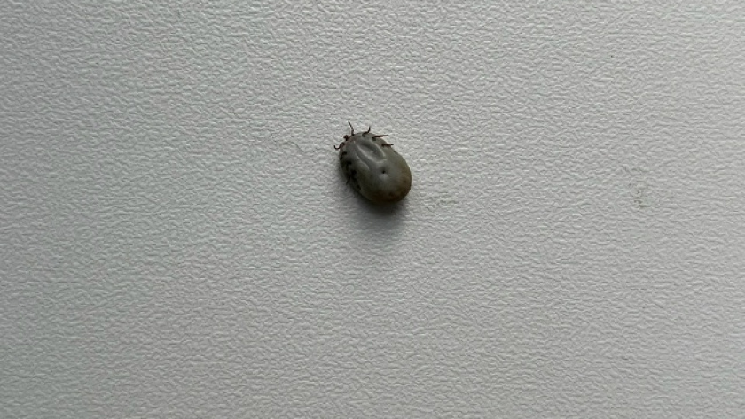    Фото из архива редакции