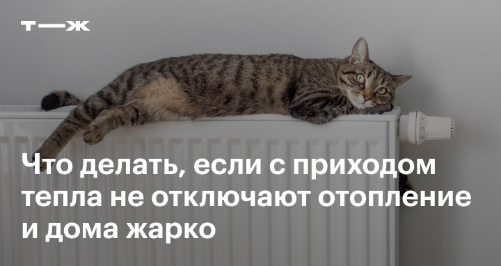 Что делать, если не отключают отопление, а дома жарко?