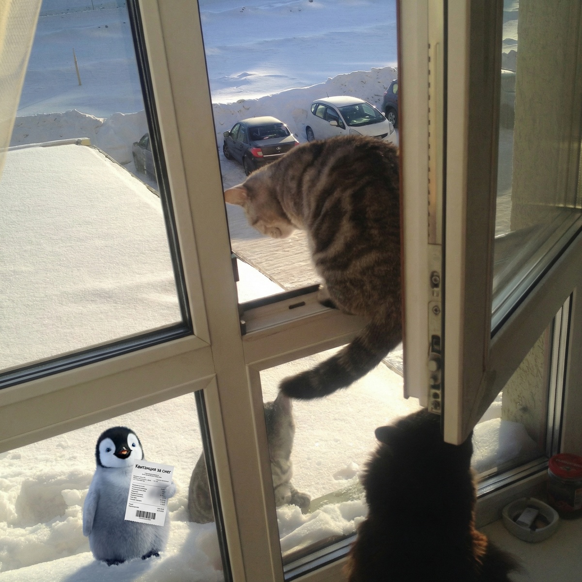 Пингвиненок принес квитанцию за снег