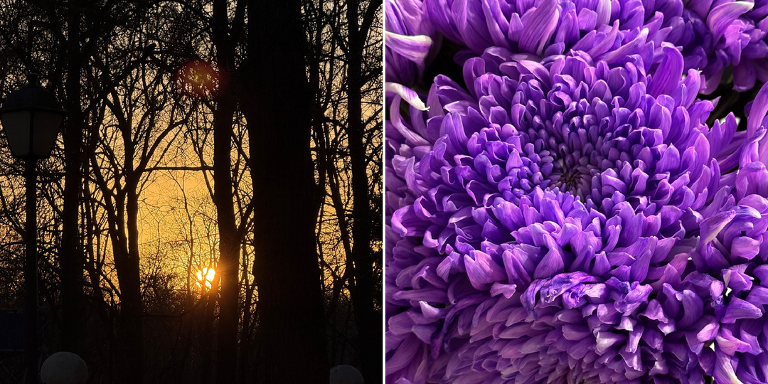 Положительные отзывы о достопримечательностях Москвы, часть 7.