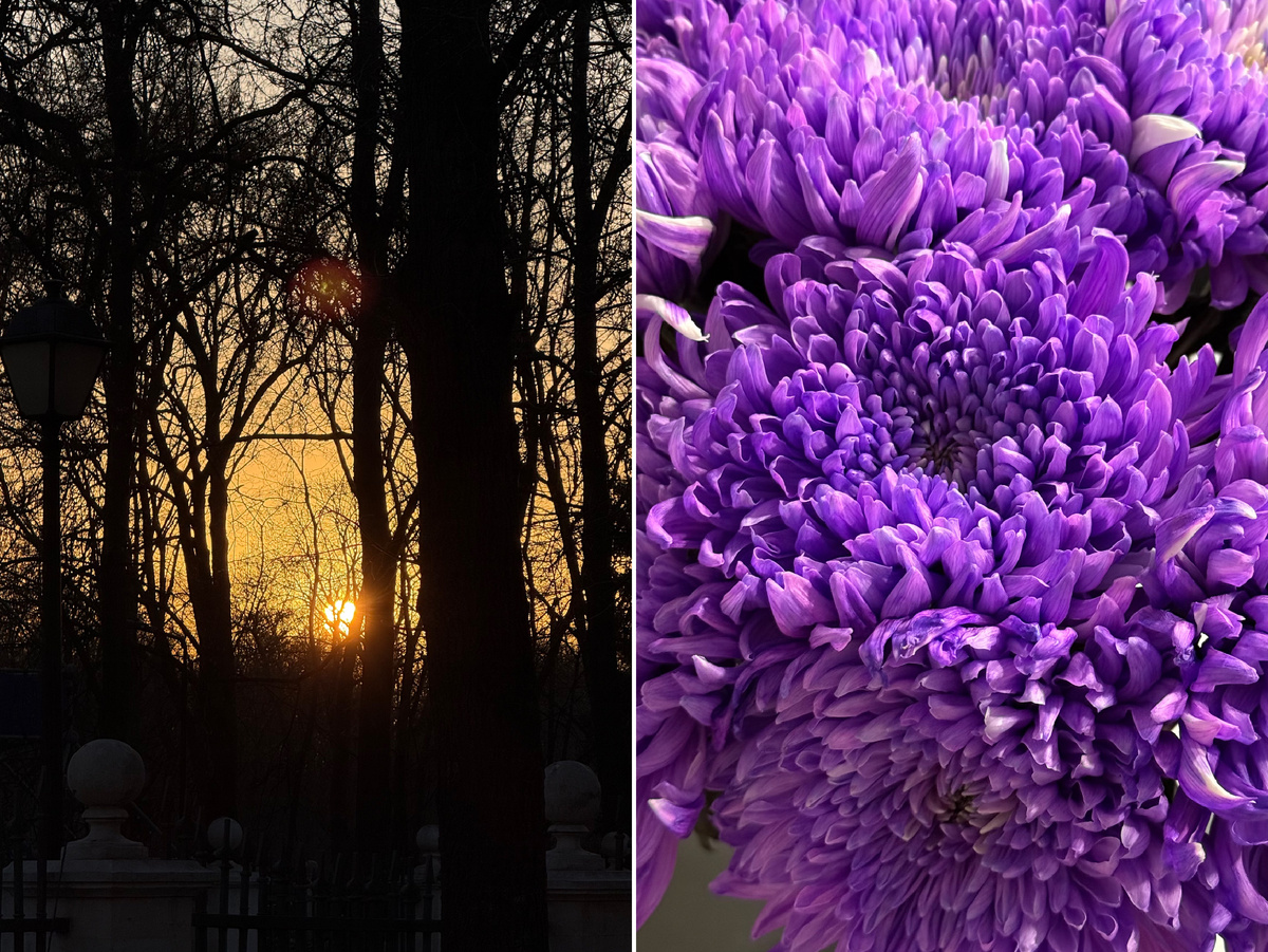 Фото автора канала.