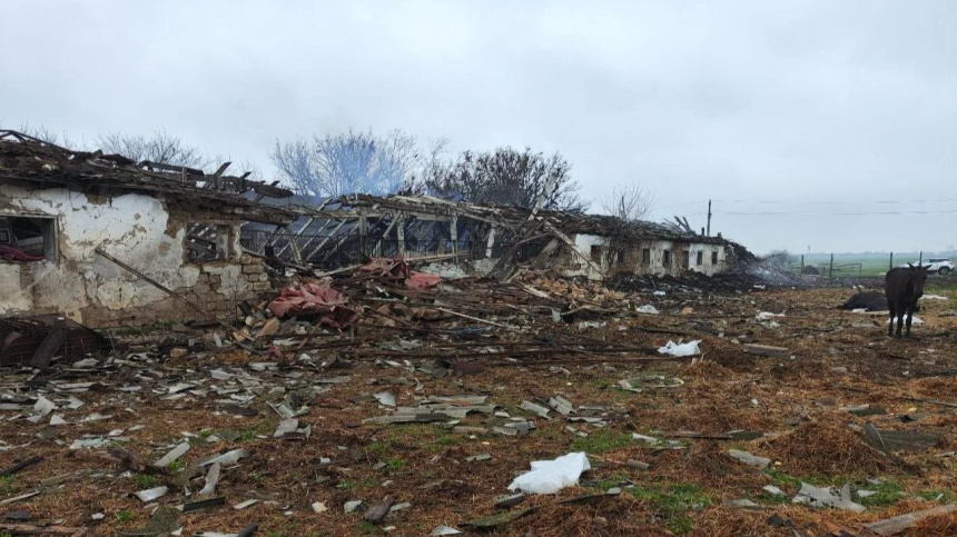    Фото: Telegram/Балицкий Евгений/BalitskyEV