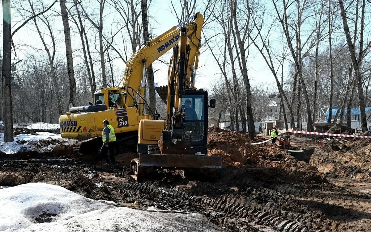    54 дерева вырубили в Березовой роще Ижевска