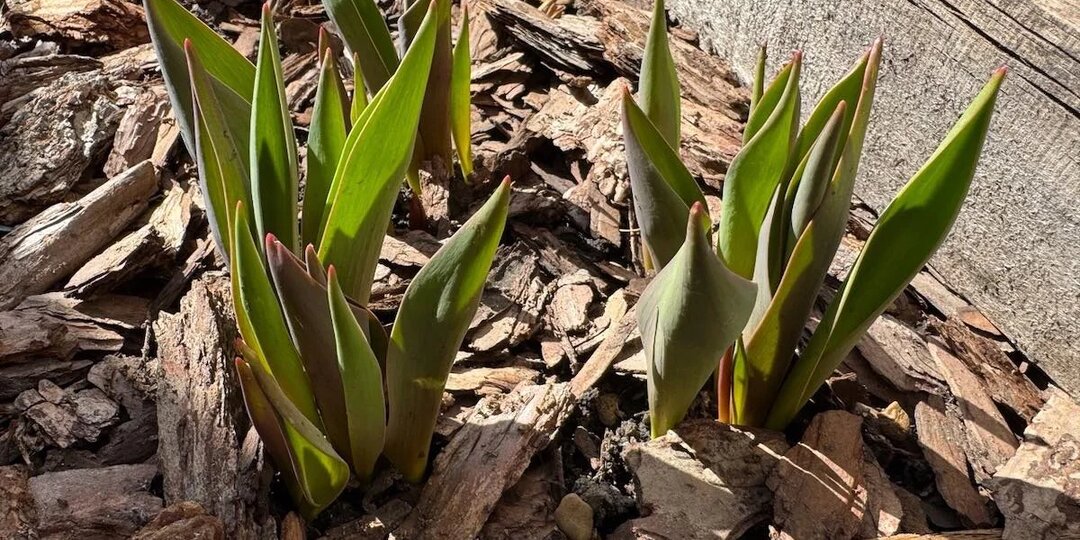 Погода в Стерлитамаке на пятницу, 3 апреля 2026 года