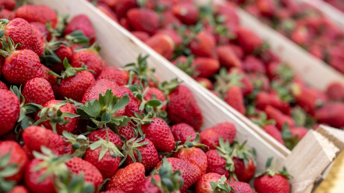    Фото: Сергей Зубков/«Ямал-Медиа»