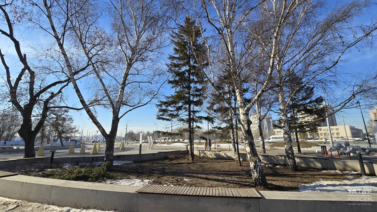 Фото: © Султан Исхаков / «Татар-информ»