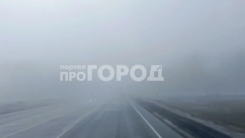    Фото с сайта pg21.ru