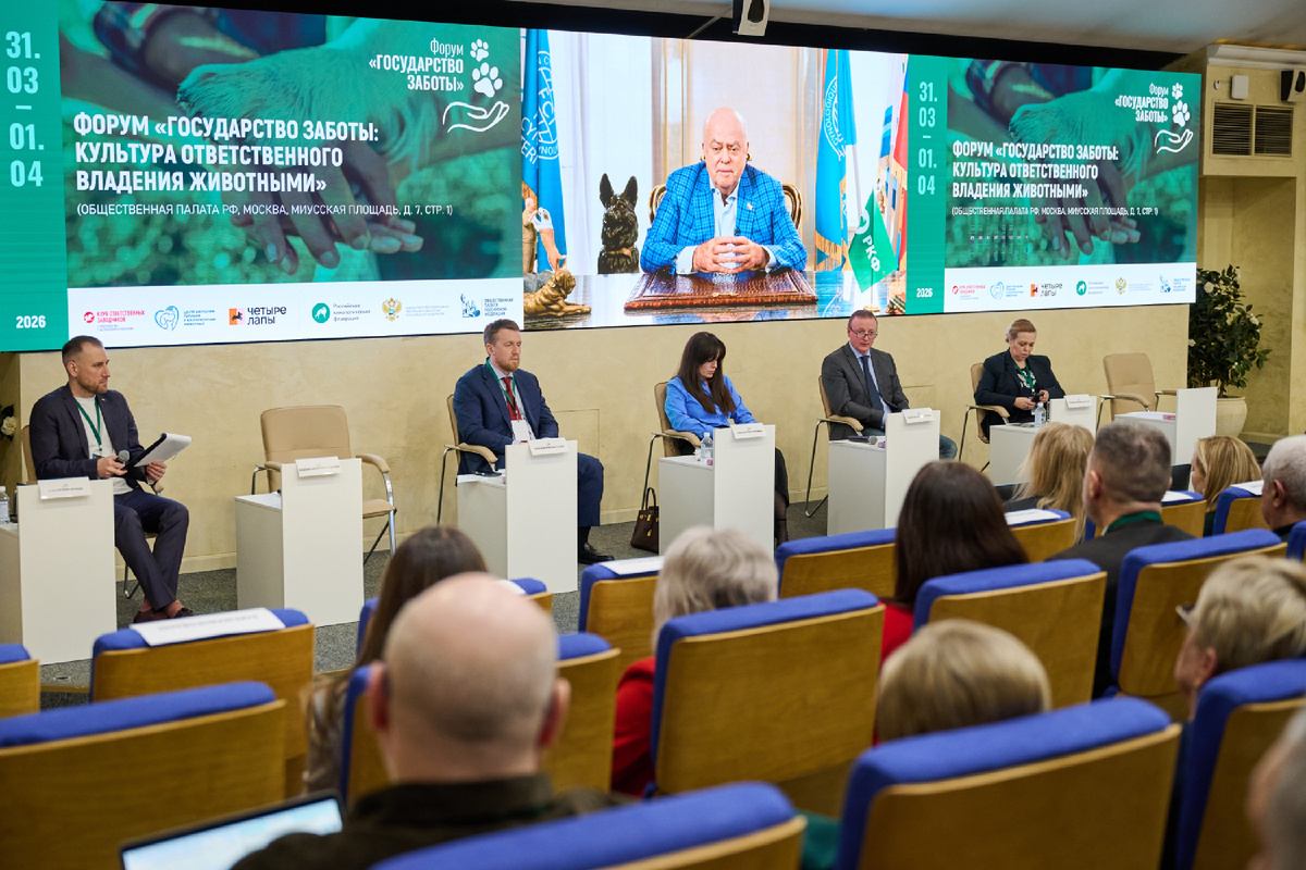 Видео обращение Владимира Голубева на форуме «Государство заботы: культура ответственного владения животными»
